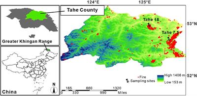Impact of forest fire on radial growth of tree rings and their element concentrations of Pinus sylvestris and Larix gmelinii in northern China